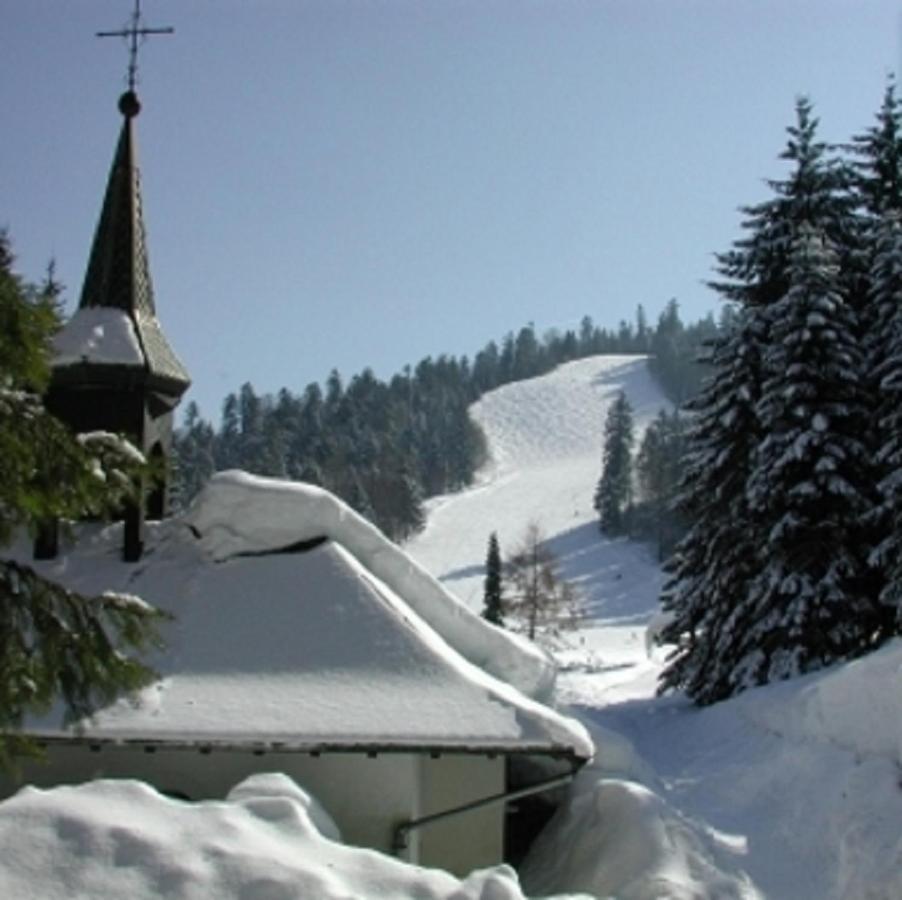 La Ferme Du Douanier & Spa 5 Etoiles All Inclusive Ventron Kültér fotó