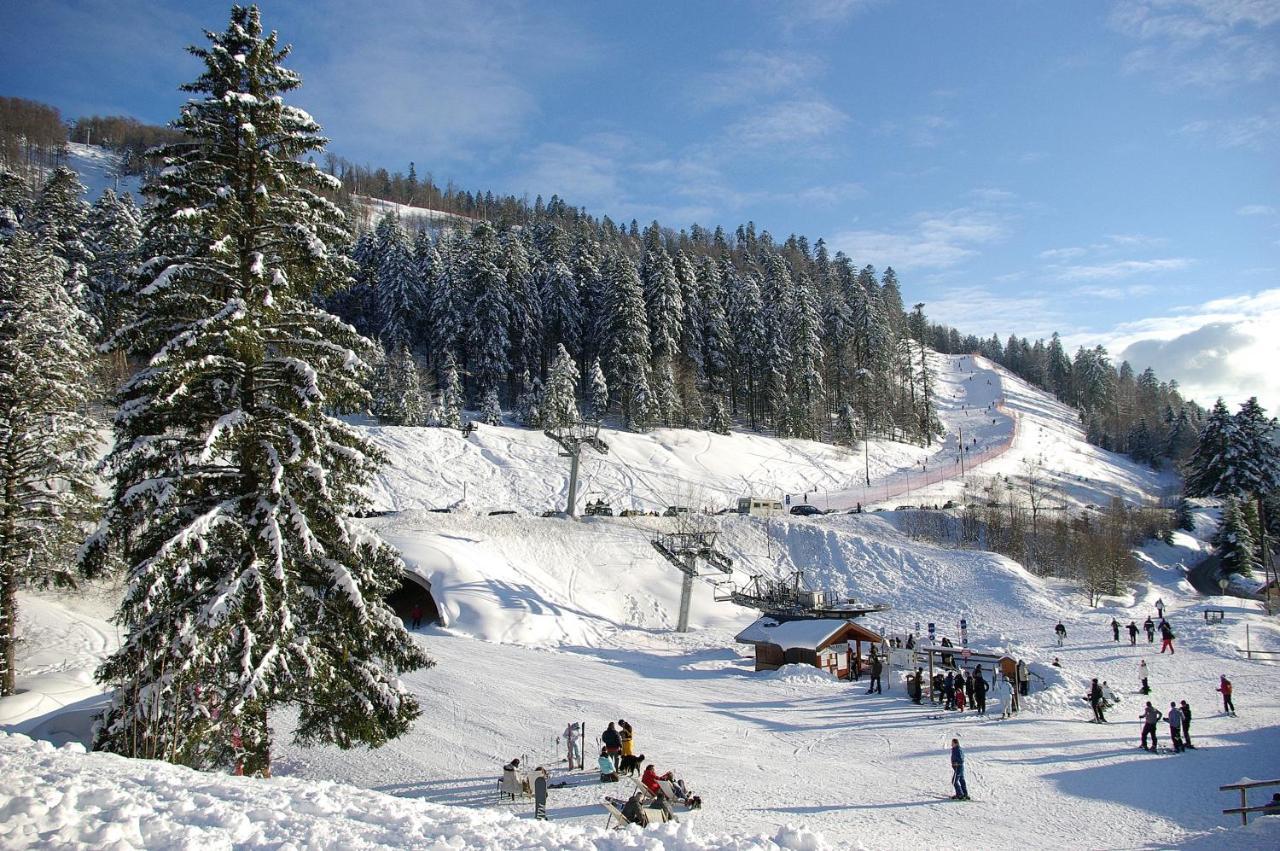 La Ferme Du Douanier & Spa 5 Etoiles All Inclusive Ventron Kültér fotó